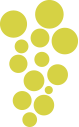 Fortbildung Basis
